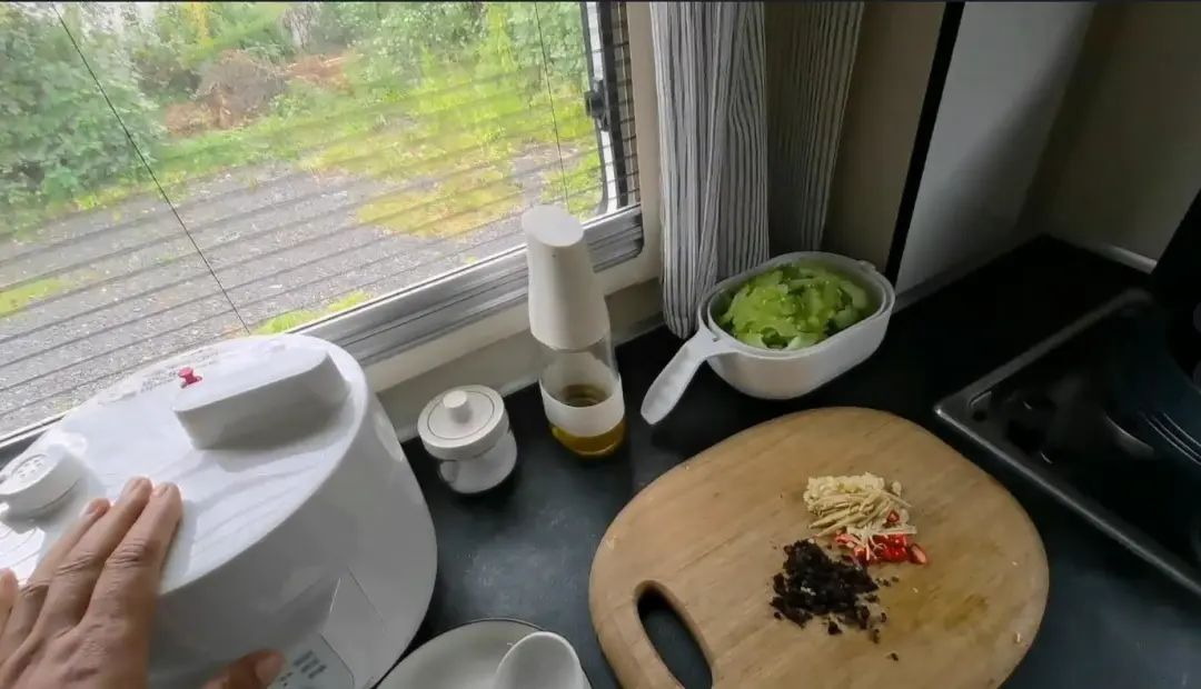 58歲的她，自駕房車旅居，一人兩犬，活成了自己喜歡的樣子
